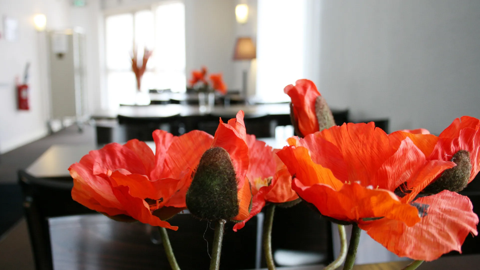 Ibis Nation Davout Hotell Paris